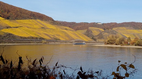 Rhein-Impressionen